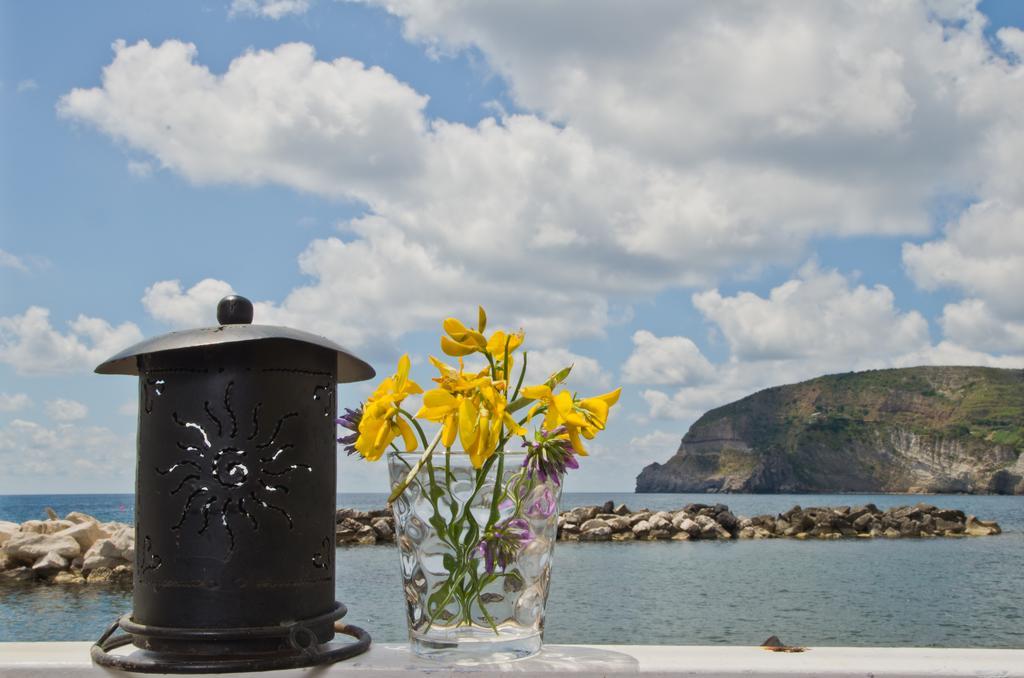 Appartamenti Le Pleiadi - Sant'Angelo D'Ischia Værelse billede